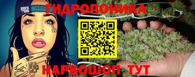 прущие крисы Камышлов