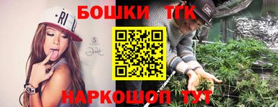 прущие крисы Камышлов