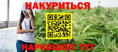 прущие крисы Камышлов