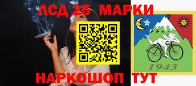 прущие крисы Камышлов